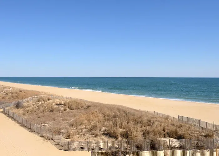 Oasis 3n - Oasis North Ocean City