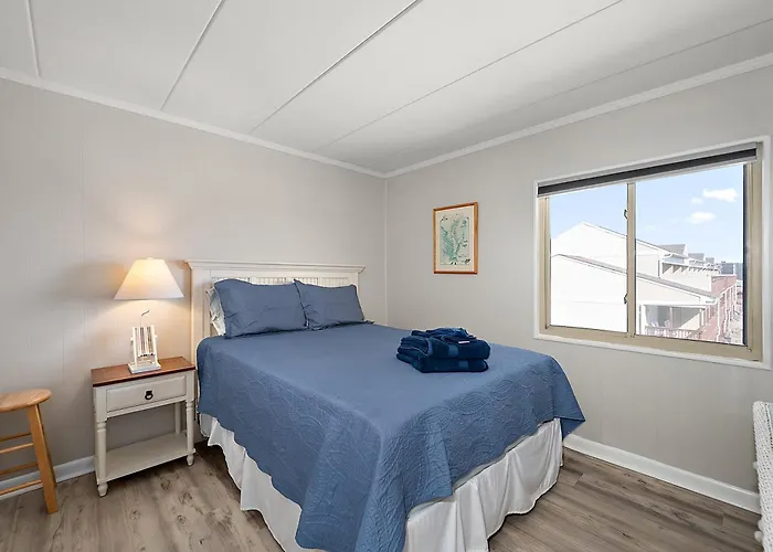 Oasis 3n - Oasis North *