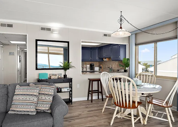 Oasis 3n - Oasis North *
